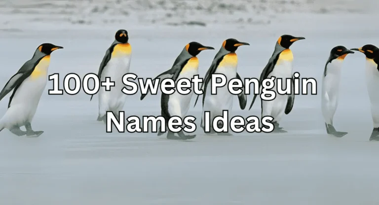 Penguin Names Ideas