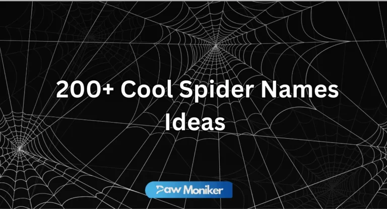 spider nicknames