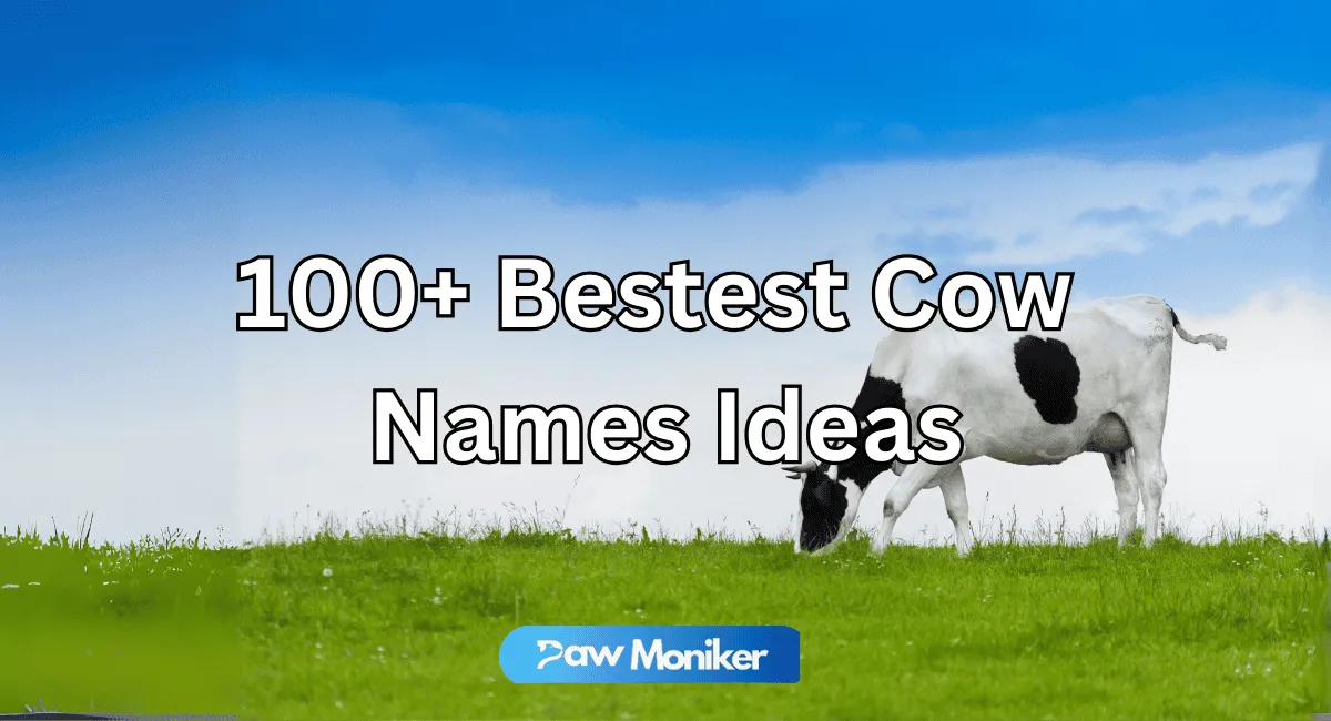 100+ Bestest Cow Names Ideas