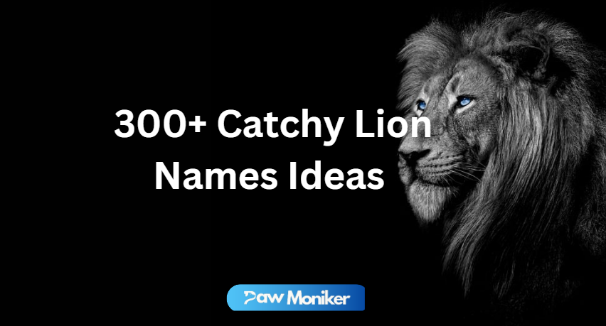 Catchy Lion Names Ideas For The King Of Jungle