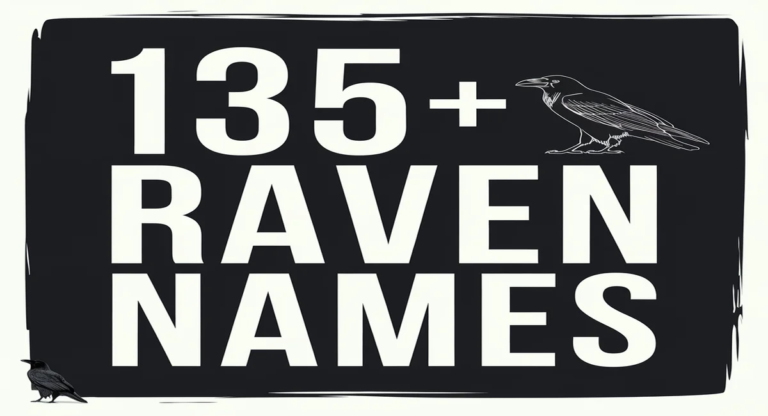 135+ Best Raven Names Ideas [Funny, Sweet]