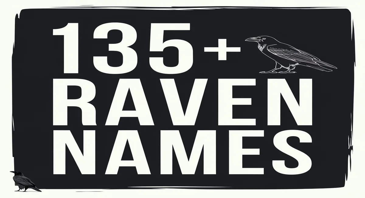 135+ Best Raven Names Ideas [Funny, Sweet]